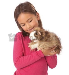 maňuška morské prasiatko