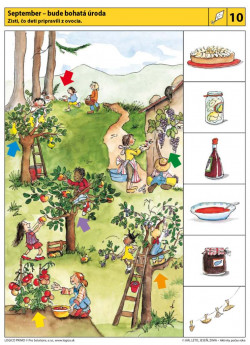 Logico Primo Jar leto jeseň zima