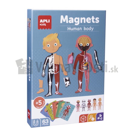 Ľudské telo - box s magnetmi